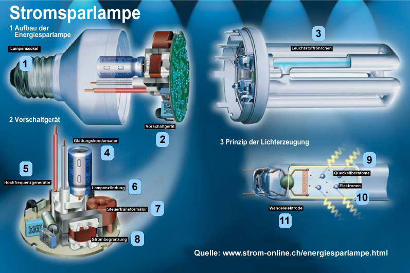 Sehen und verstehen: Die Energiesparlampe